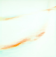 eibild